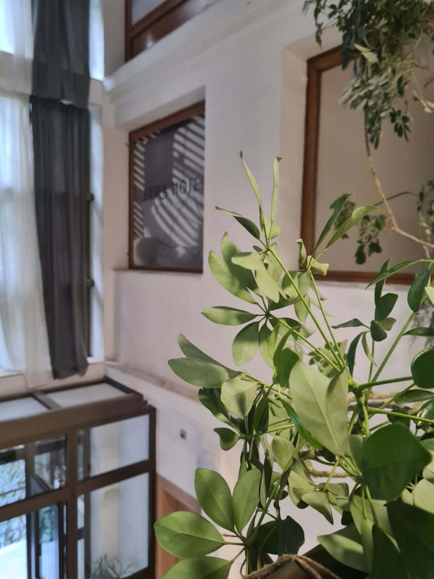Fera Hotel เบลเกรด ภายนอก รูปภาพ